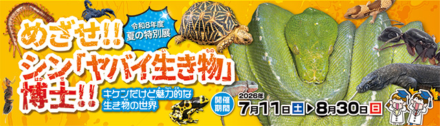 夏の特別展