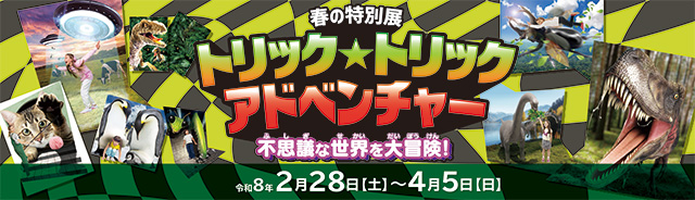 春の特別展