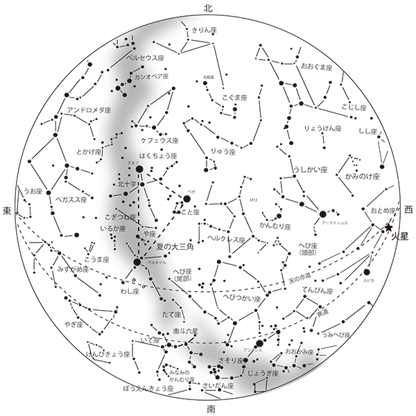 8月の星空