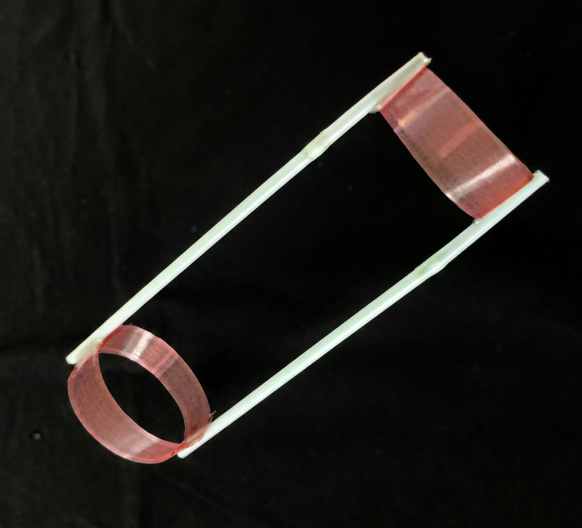 科学工作教室「リング飛行機」